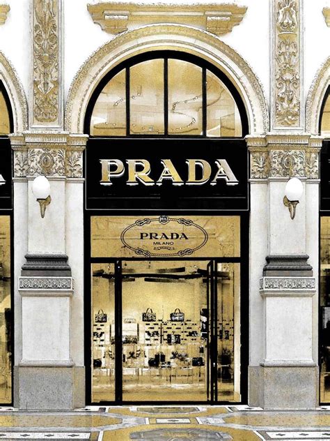 prada in canvas|prada artwork canvas.